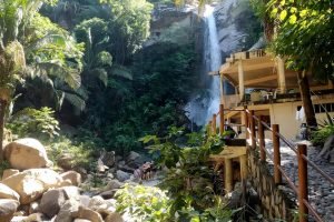 Senderos rodeados de selva