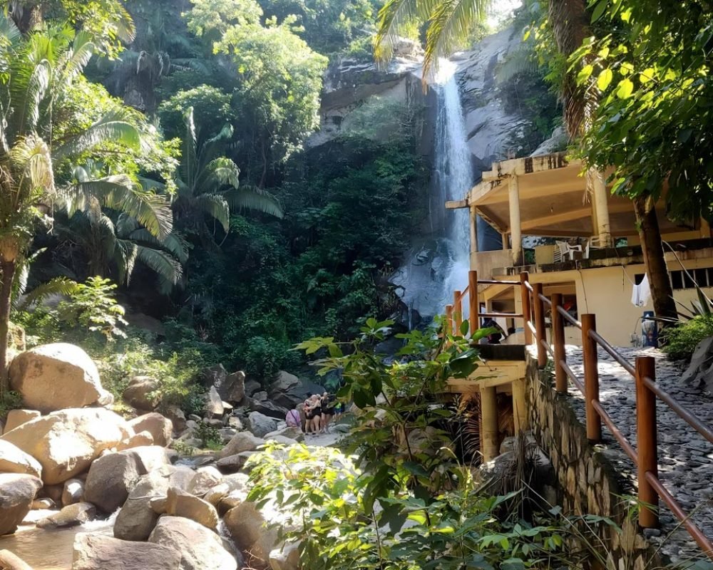 Senderos rodeados de selva